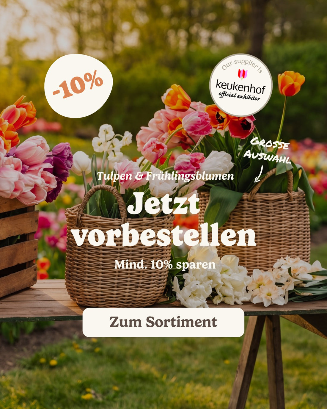 slider image slider_item_BYPCVp