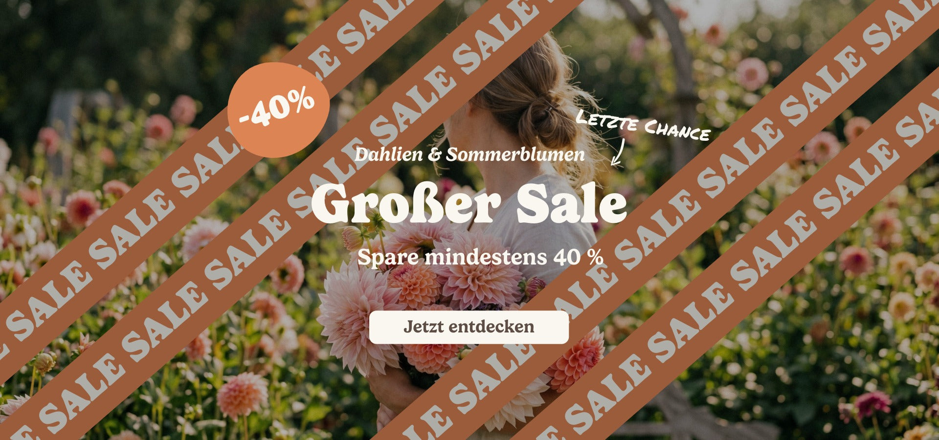slider image slider_item_BYPCVp