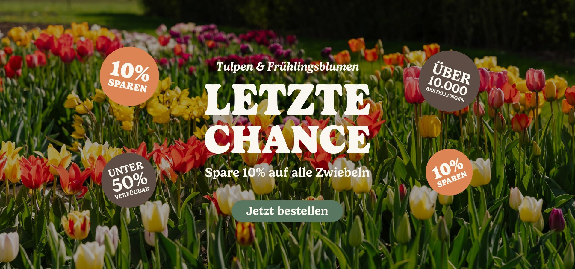 slider image slider_item_zK9nTe