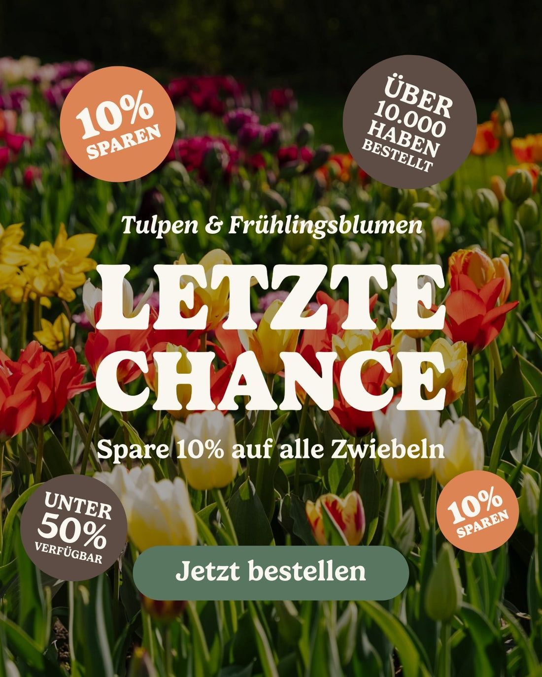 slider image slider_item_zK9nTe