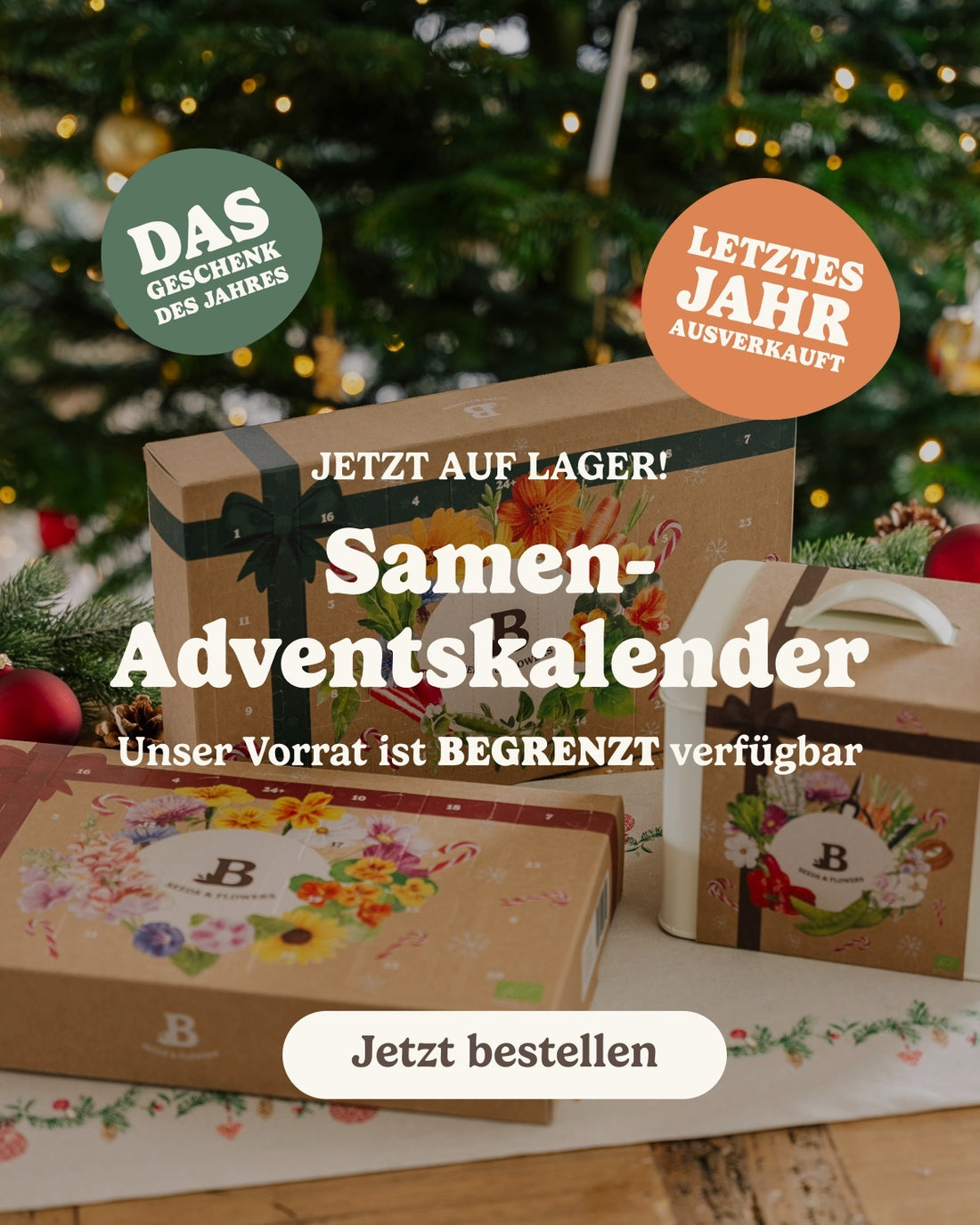 slider image slider_item_dPANNd