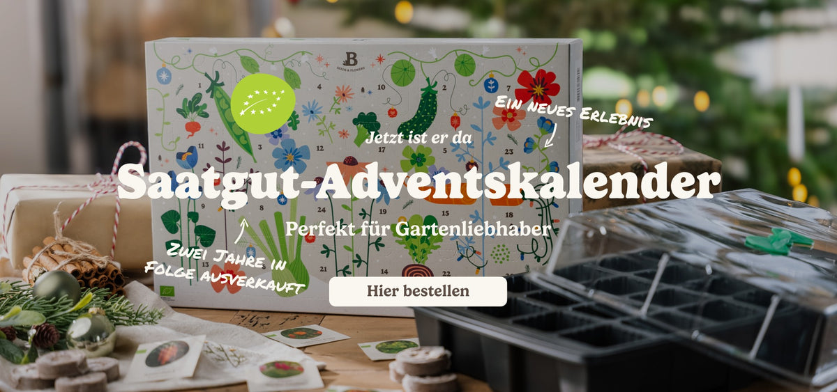 slider image slider_item_hrTKDQ