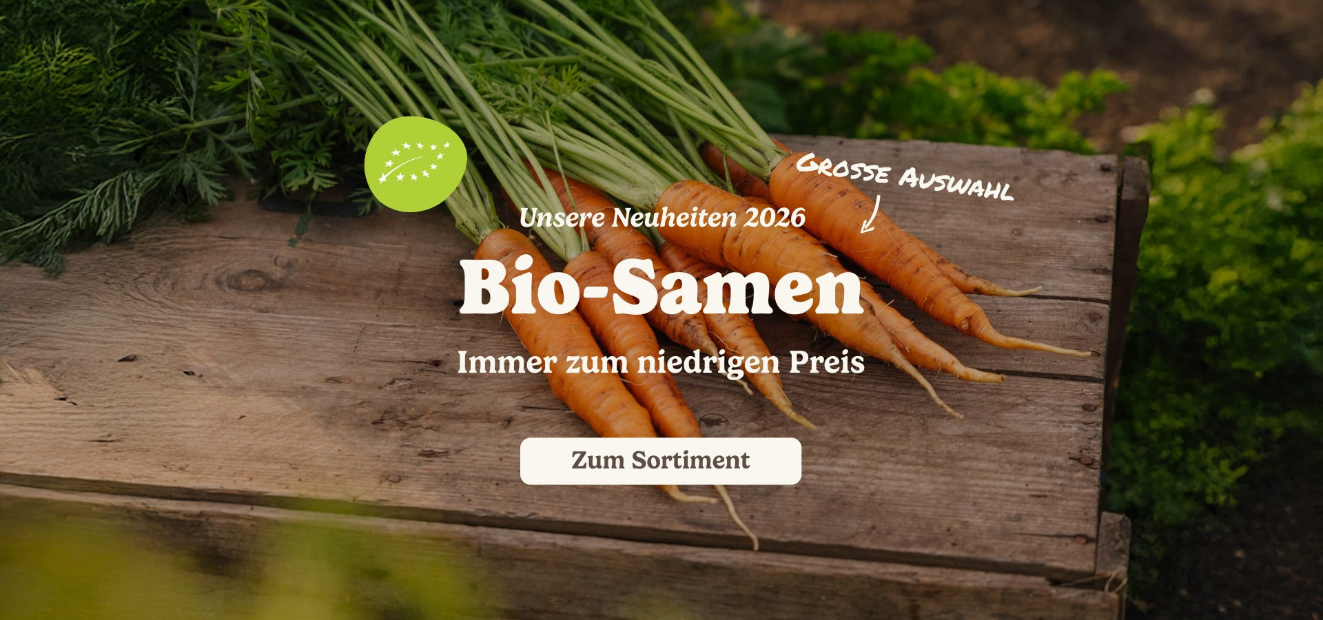 slider image slider_item_dPANNd