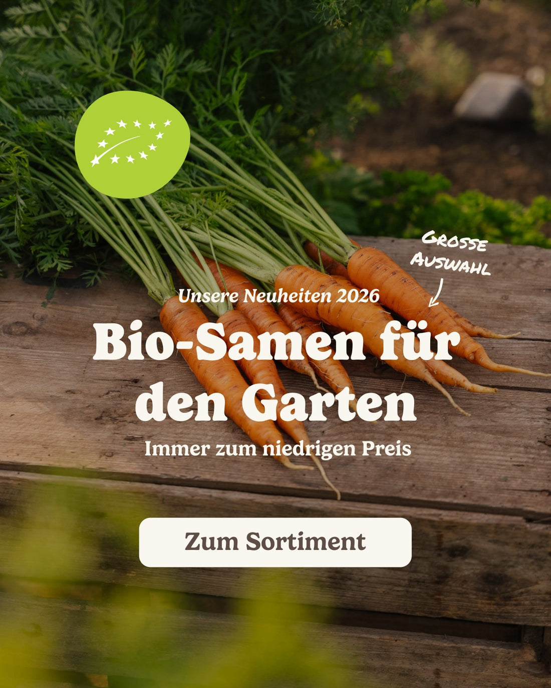 slider image slider_item_dPANNd