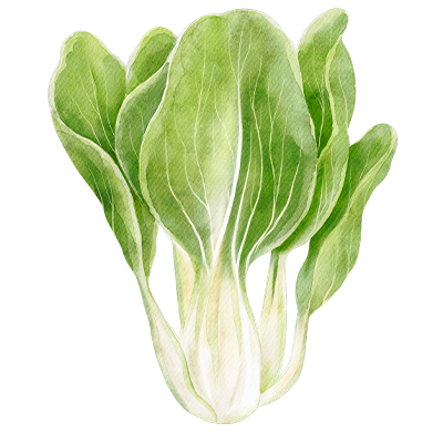 Pak Choi