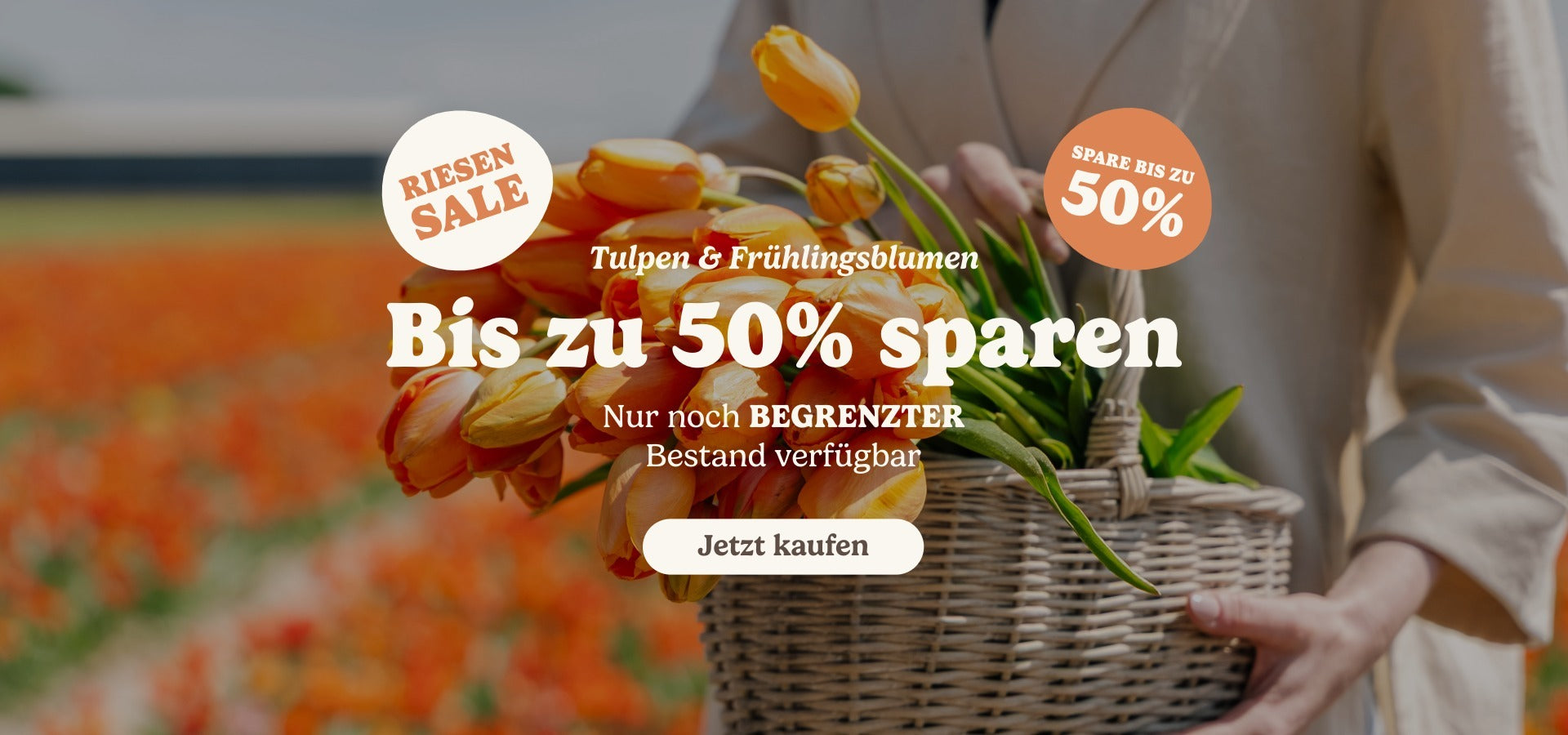 slider image slider_item_zK9nTe