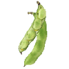 Ackerbohnen