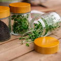 Alles - in - einem Microgreens - Paket - 10 Beutel Bio - Samen