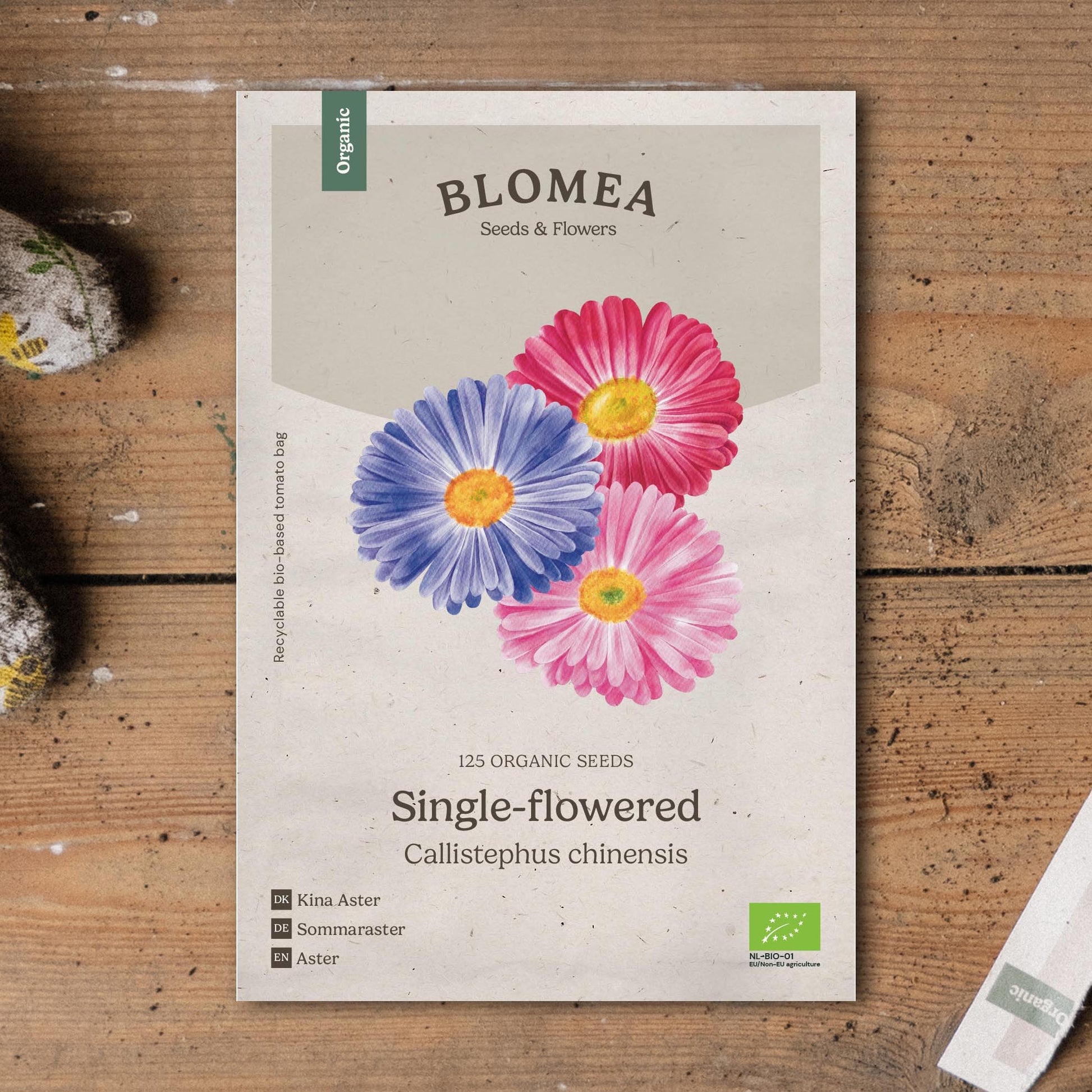 Astern Samen 'Single - flowered' - 125 Biosamen