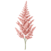 Astilbe wurzelnackt / Prachtspiere
