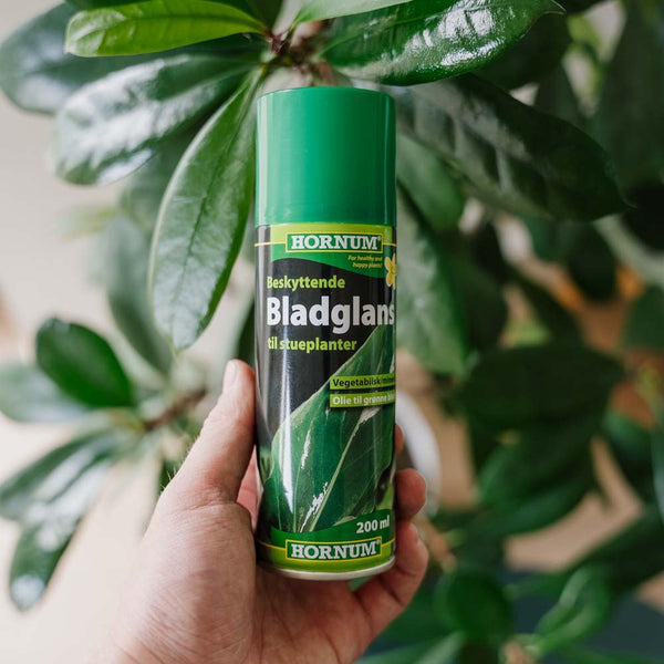 Blattglanzspray 200 ml