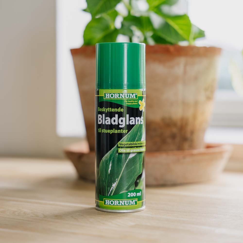 Blattglanz, 200 ml