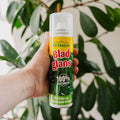 Blattglanz, 200 ml