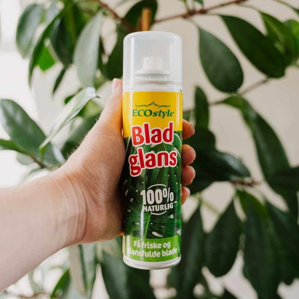 Blattglanz, 200 ml