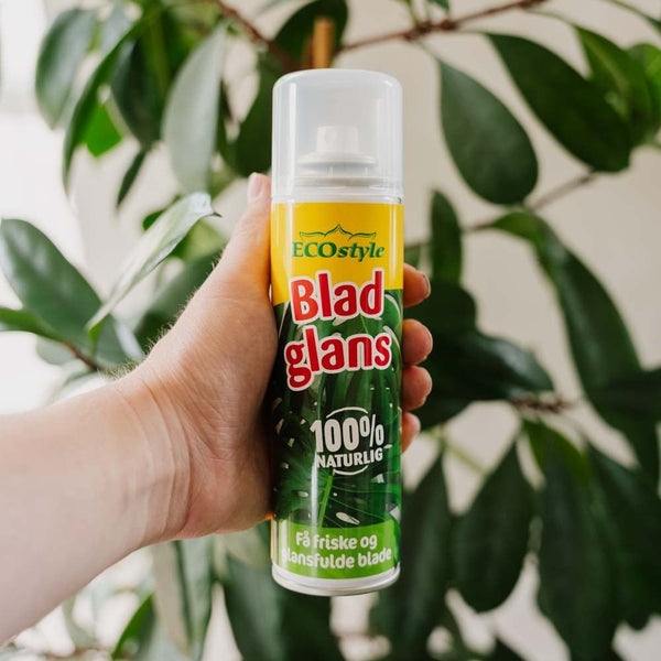 Blattglanz 200ml – Dünger und Pflanzenpflege für Ihren Garten