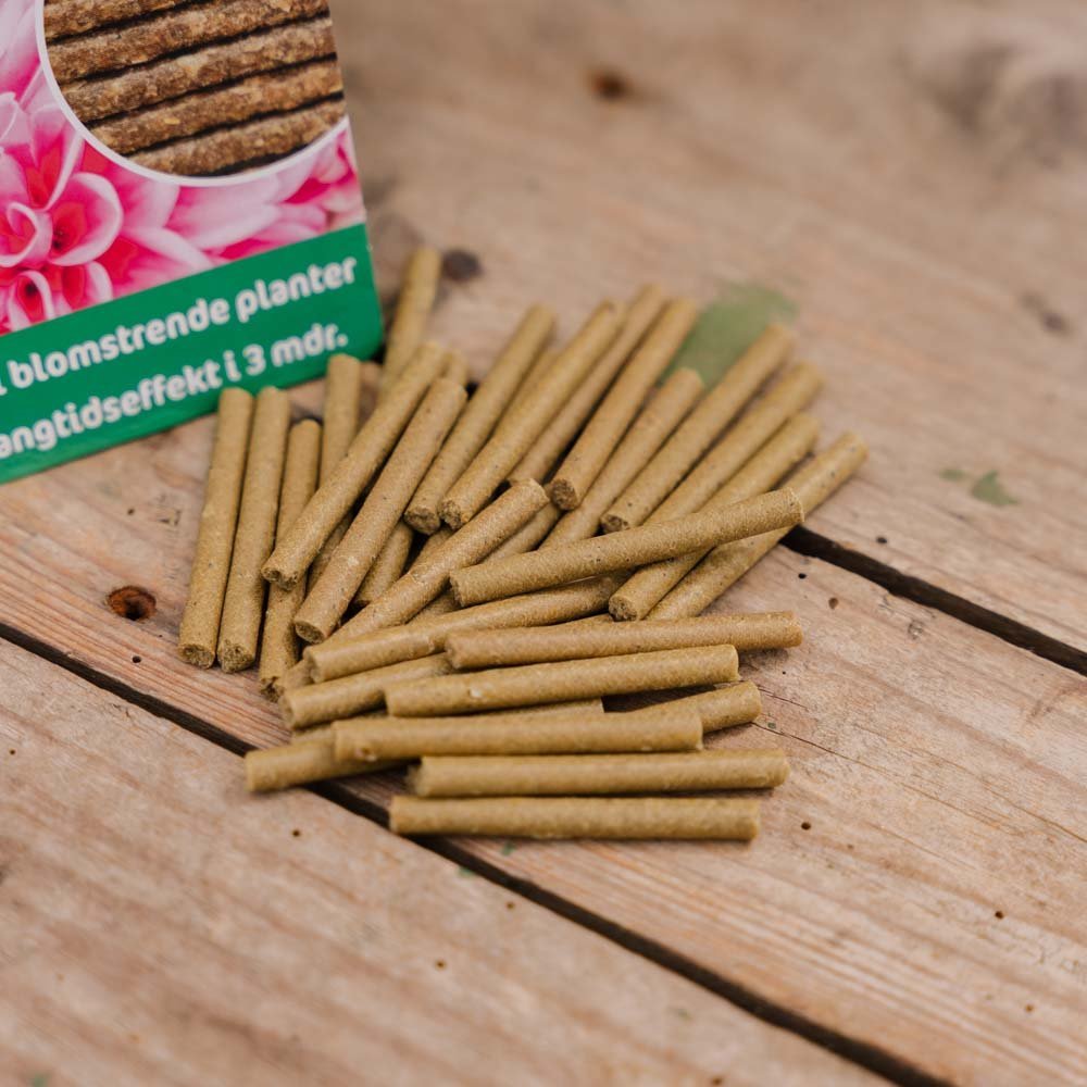 Blumendüngerstäbchen 30 stück