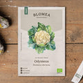 Blumenkohl Samen 'Odysseus' - 40 Biosamen