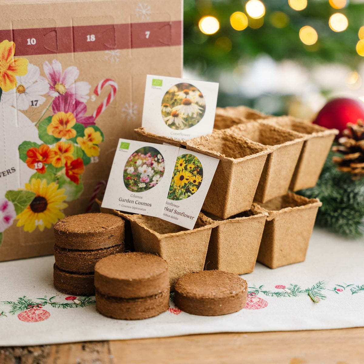 Blumensamen Adventskalender 2025