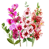 Blumensamen