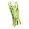 Gemüsesamen