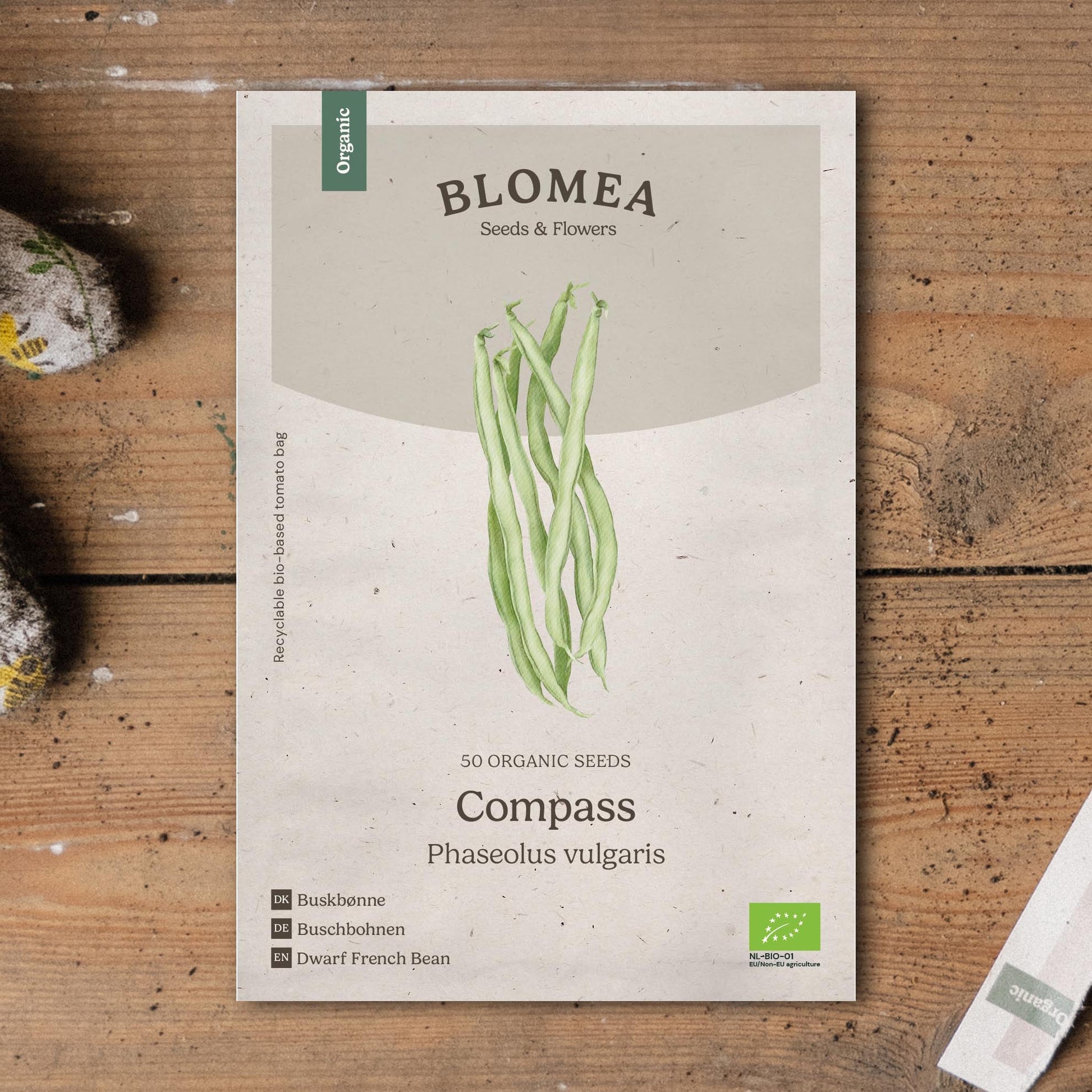 Buschbohnen Samen 'Compass' - 50 Biosamen