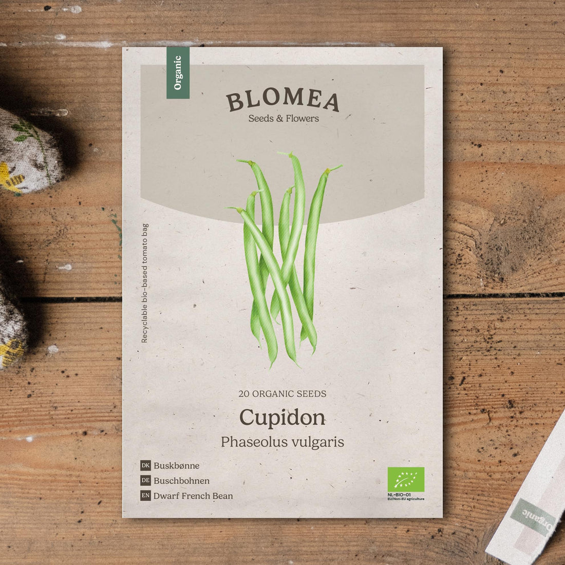Buschbohnen Samen 'Cupidon' - 20 Biosamen