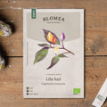 Chili Samen 'Lila luzi' - 5 Biosamen
