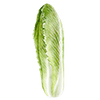 Chinakohl
