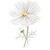 Blumensamen