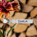 Dahlien Etiketten
