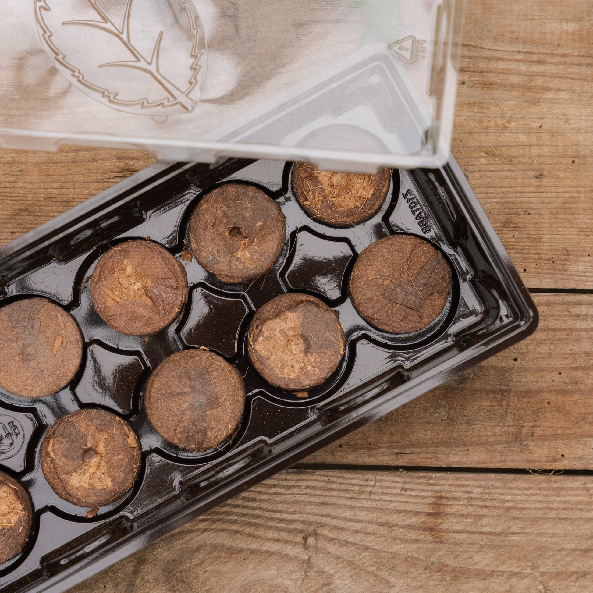 Drivhus med 10 væksthuller