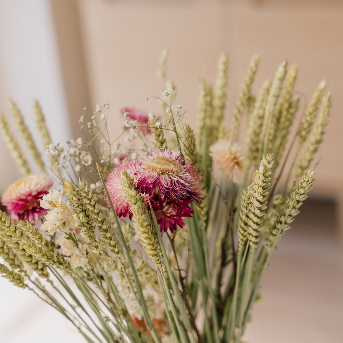 Ewiger Blumenstrauß, Wildnis, H: 50 cm