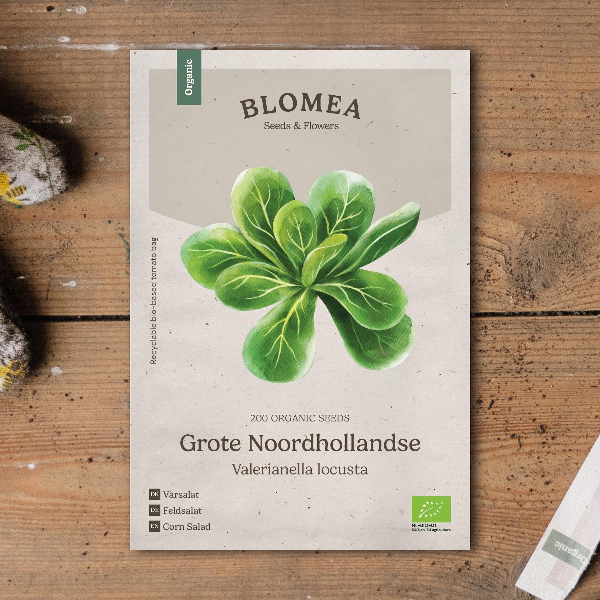 Feldsalat Samen 'Grote Noordhollandse' - 200 Biosamen