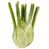 Gemüsesamen