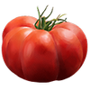 Fleischtomaten
