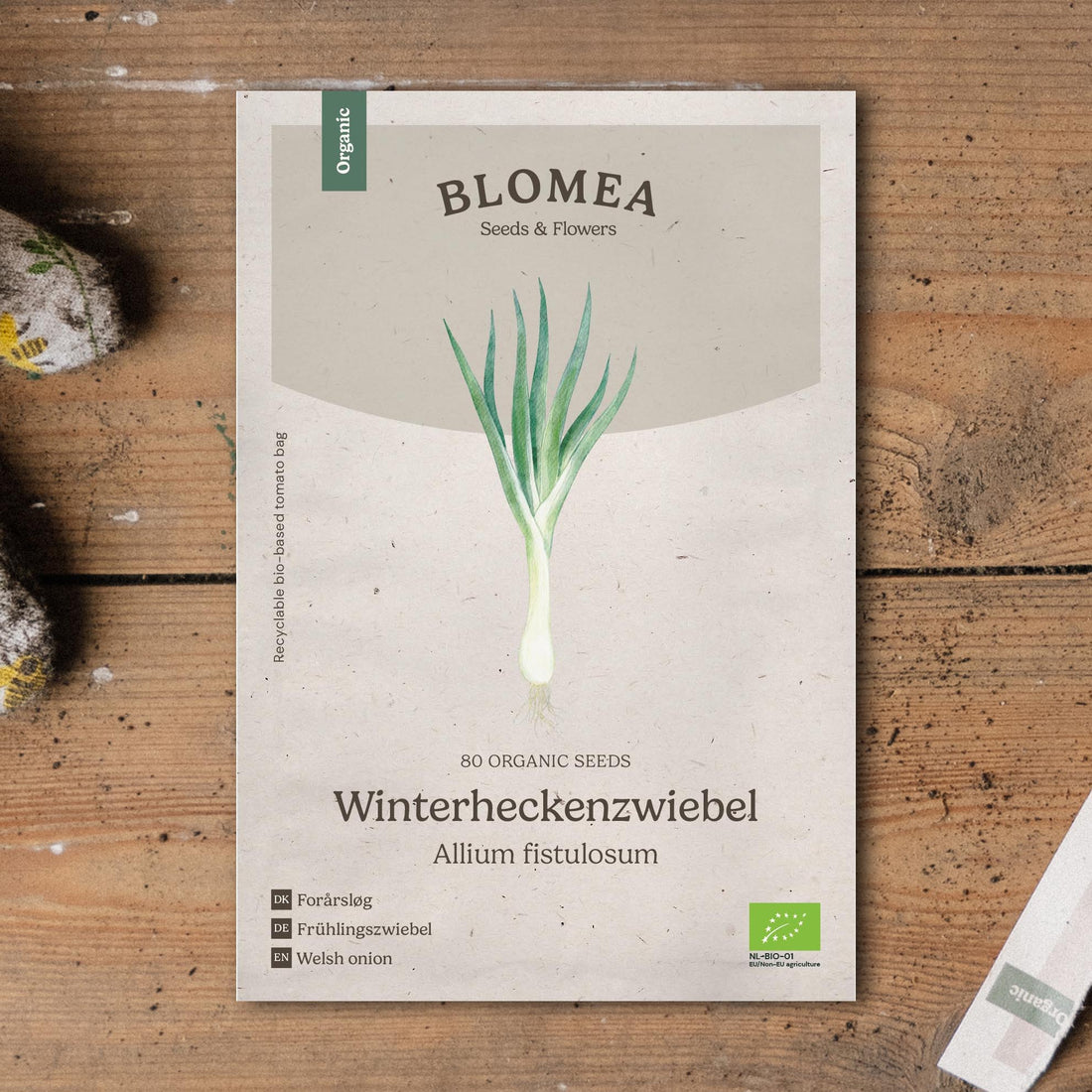 Frühlingszwiebeln Samen 'Winterheckenzwiebel' - 80 Biosamen