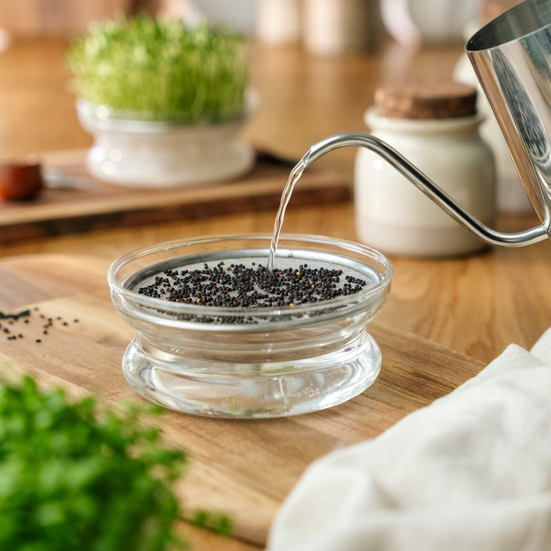 Gießkanne für Microgreens, 0,55 L