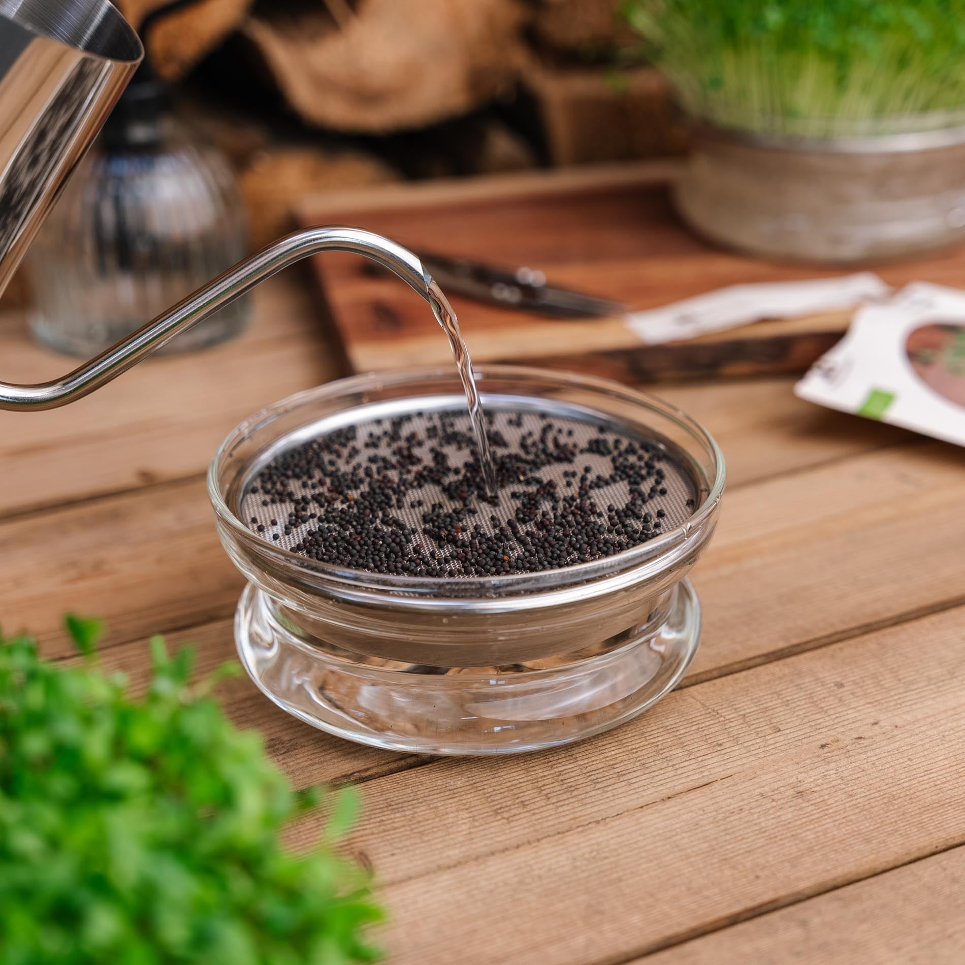 Gießkanne für Microgreens, 0,55 L