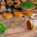 Glas - Aufbewahrungsdosen für Microgreens