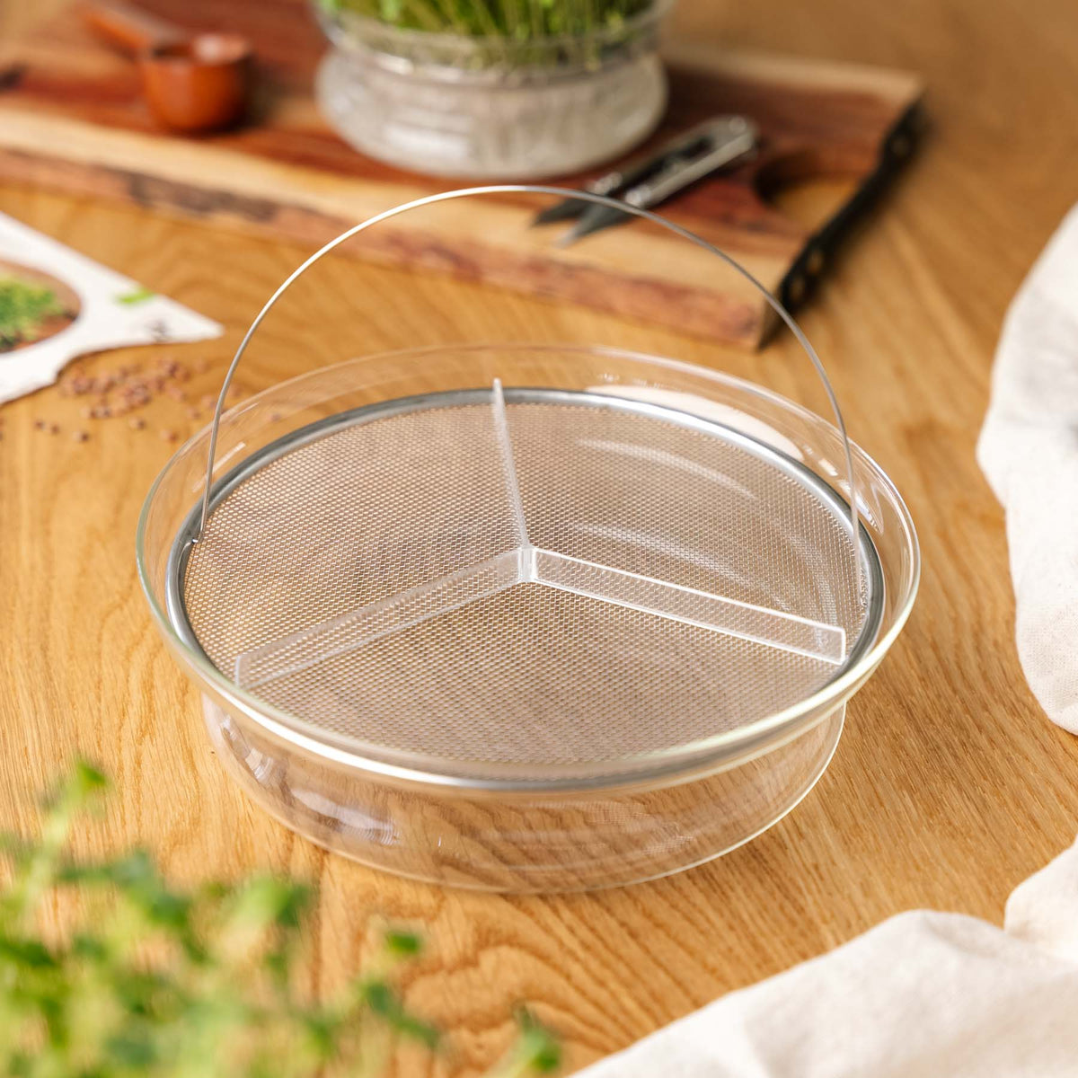 Große Keimschale für Microgreens