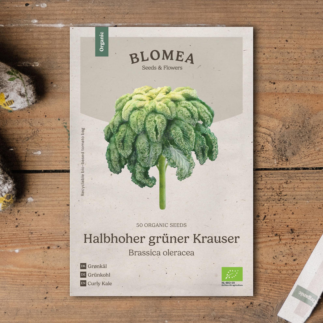 Grünkohl Samen 'Halbhoher grüner Krauser' - 50 Biosamen