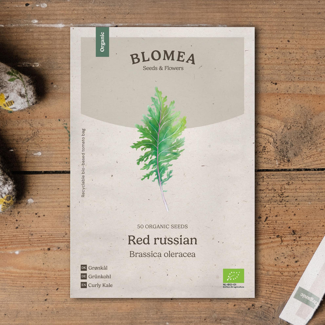 Grünkohl Samen 'Red Russian' - 50 Biosamen
