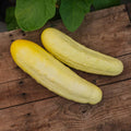 Gurkensamen 'Gele Tros' - 10 Biosamen