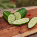 Gurkensamen 'Kaikura F1' - 5 Biosamen