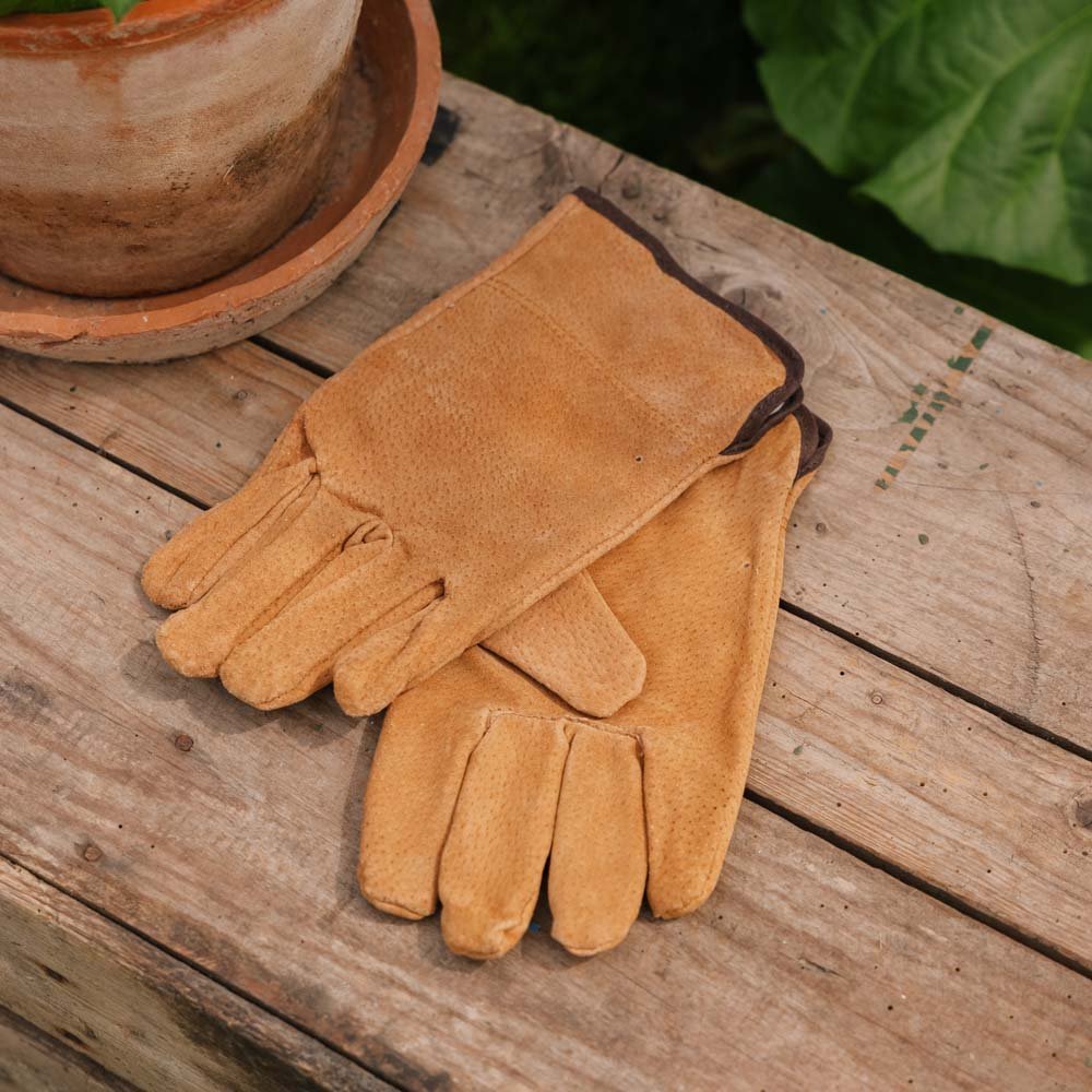 Hautgartenhandschuhe, Einheitsgröße