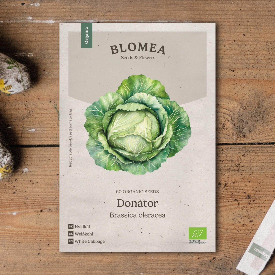 Weißkohl Samen 'Donator' - 60 Biosamen