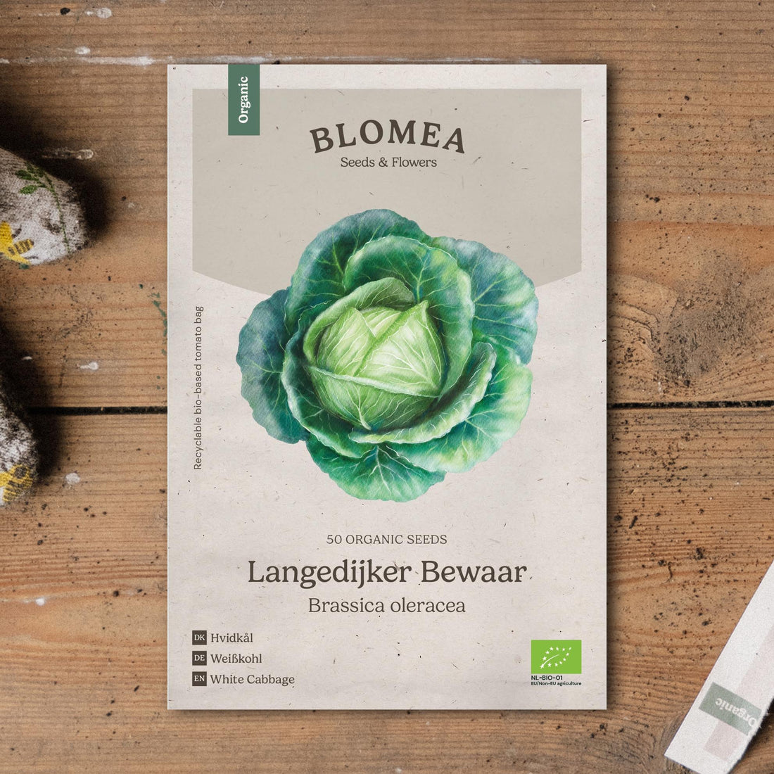 Weißkohl Samen 'Langedijker Bewaar' - 50 Biosamen