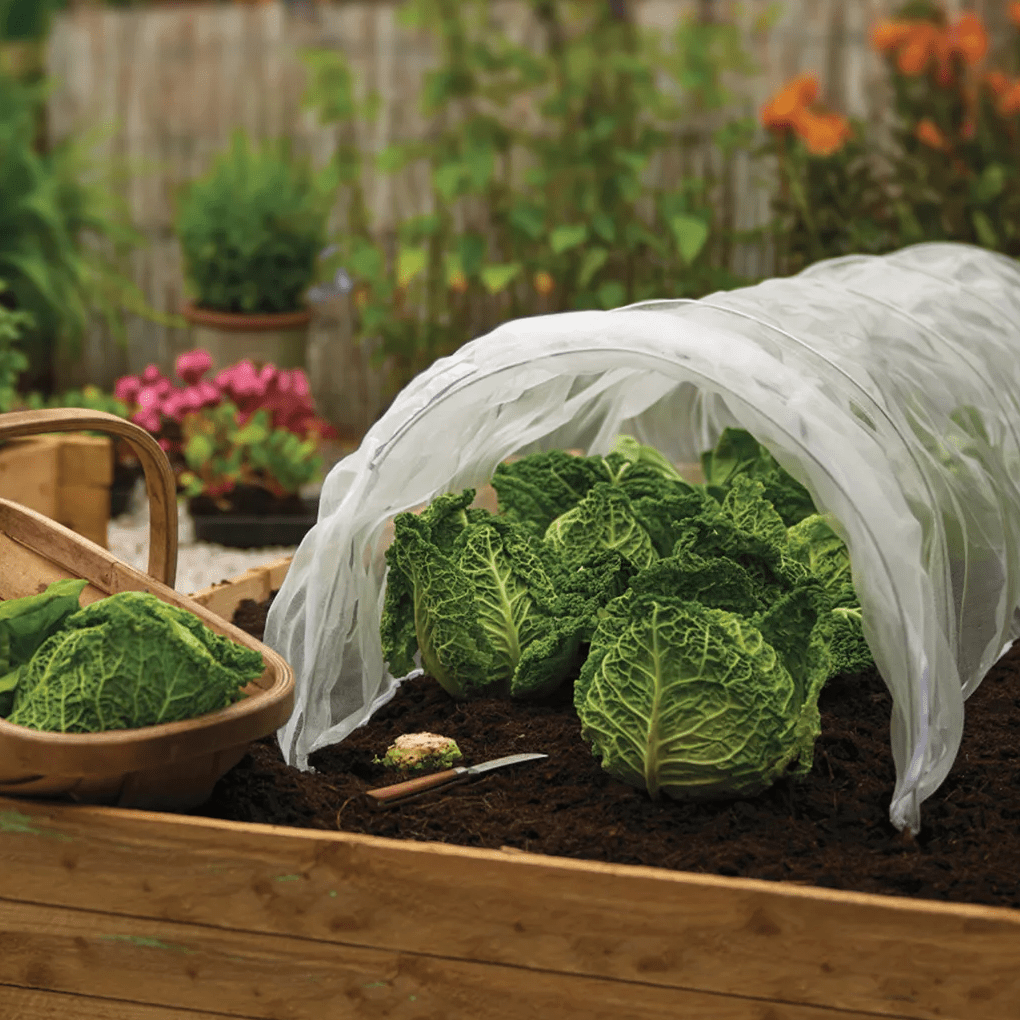 Insektennetz Für Gemüse & Garten – 20x20m Schutznetz Gegen Schädlinge & Vögel