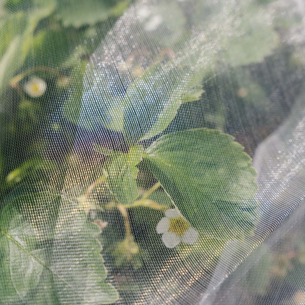 Insektennetz, 4x5 m