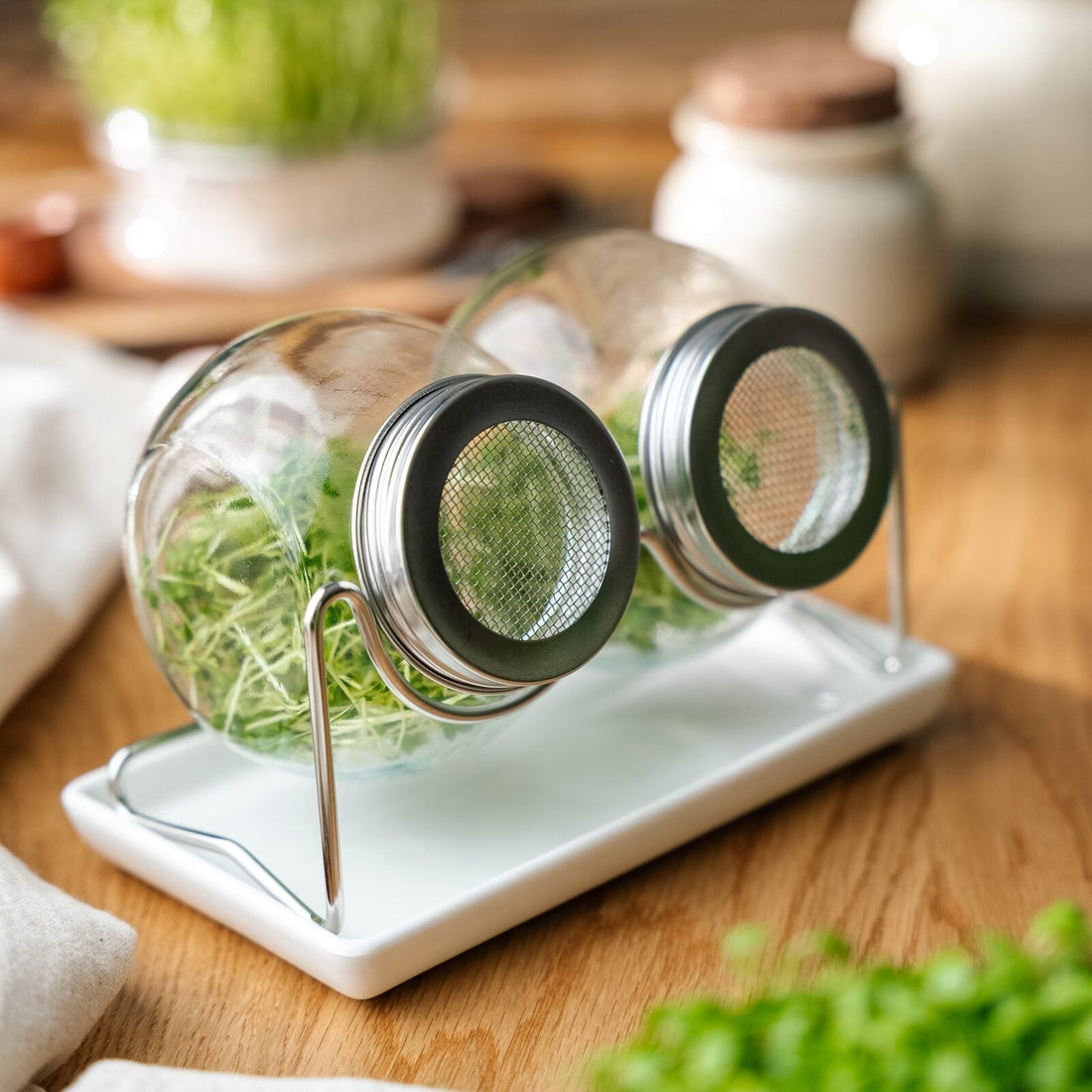 Keimglas Set mit Abtropfschale